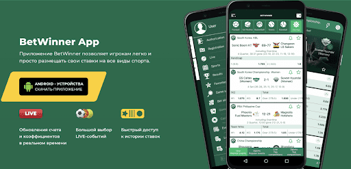 Discover the Excitement of Sports Betting with BetWinner